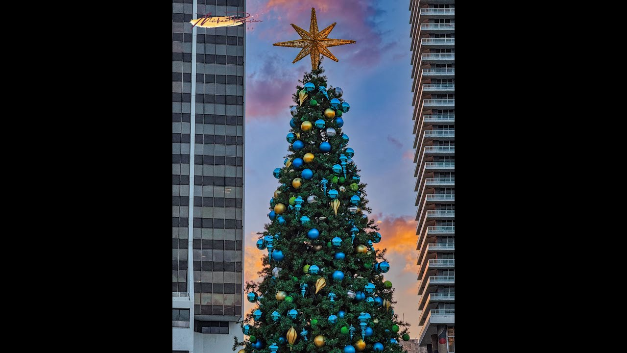 Have Yourself A Merry Little Xmas