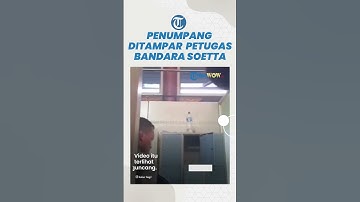 Viral Video Penumpang Bandara Soetta Ditempeleng Petugas Bandara, Penumpang: Jangan Main Fisik, Pak!