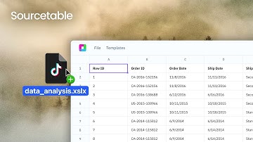 Analyze TikTok data and create reports – Sourcetable