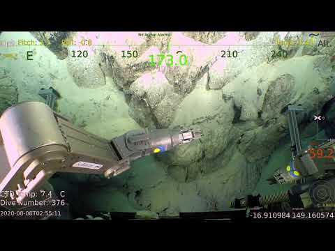 Seamounts, Canyons & Reefs of the Coral Sea - ROV Transect Timelapse - FK200802