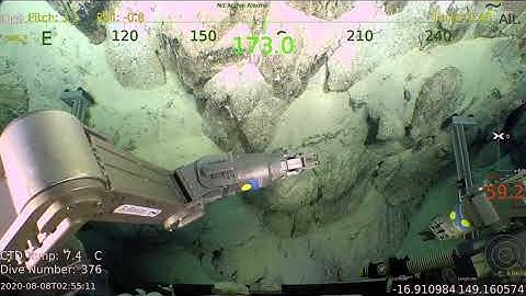 ROV Transect Timelapse - Seamounts, Canyons & Reefs of the Coral Sea