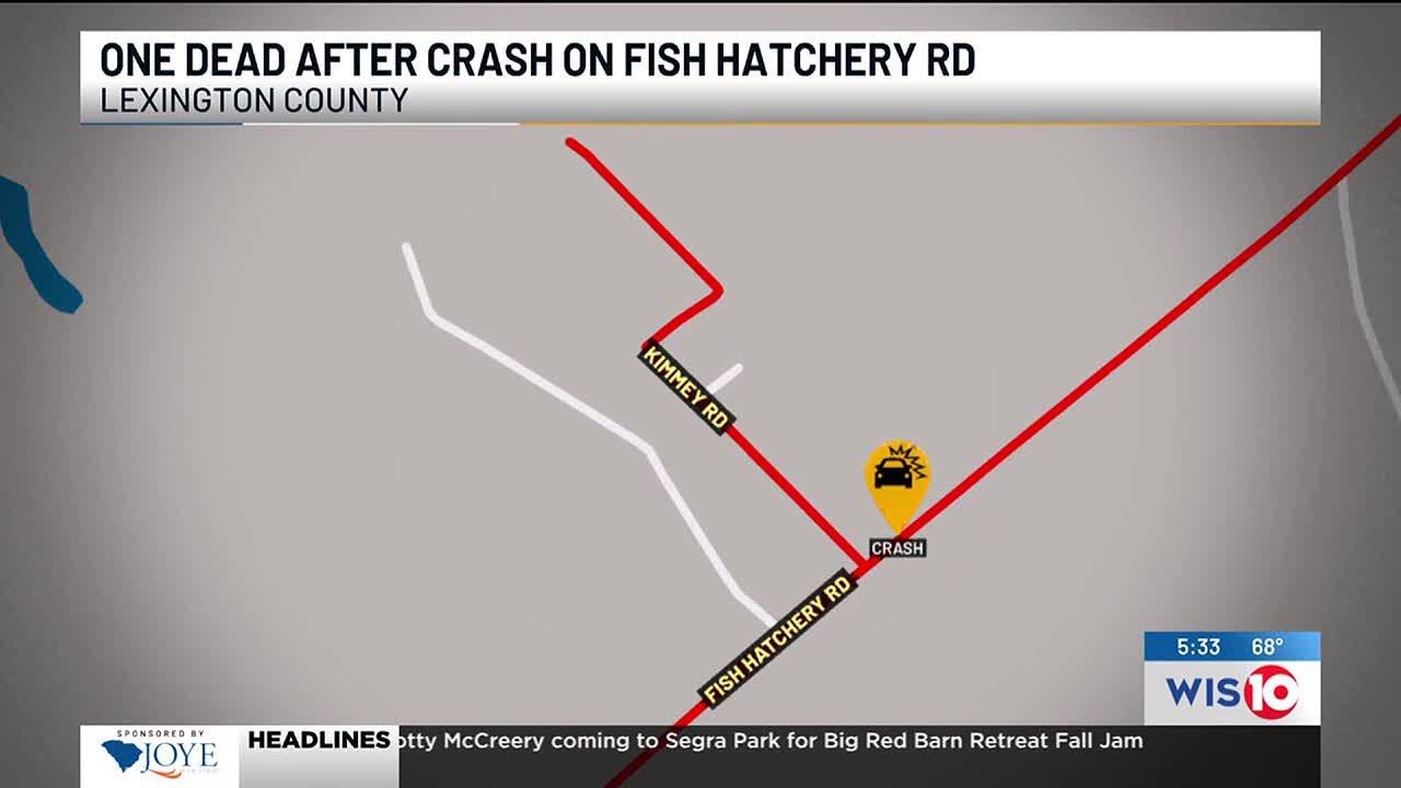 1 dead after hitting highway sign, tree in Lexington County crash - YouTube