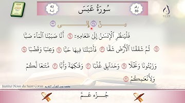 سورة عبس من الآية 24 إلى 32
