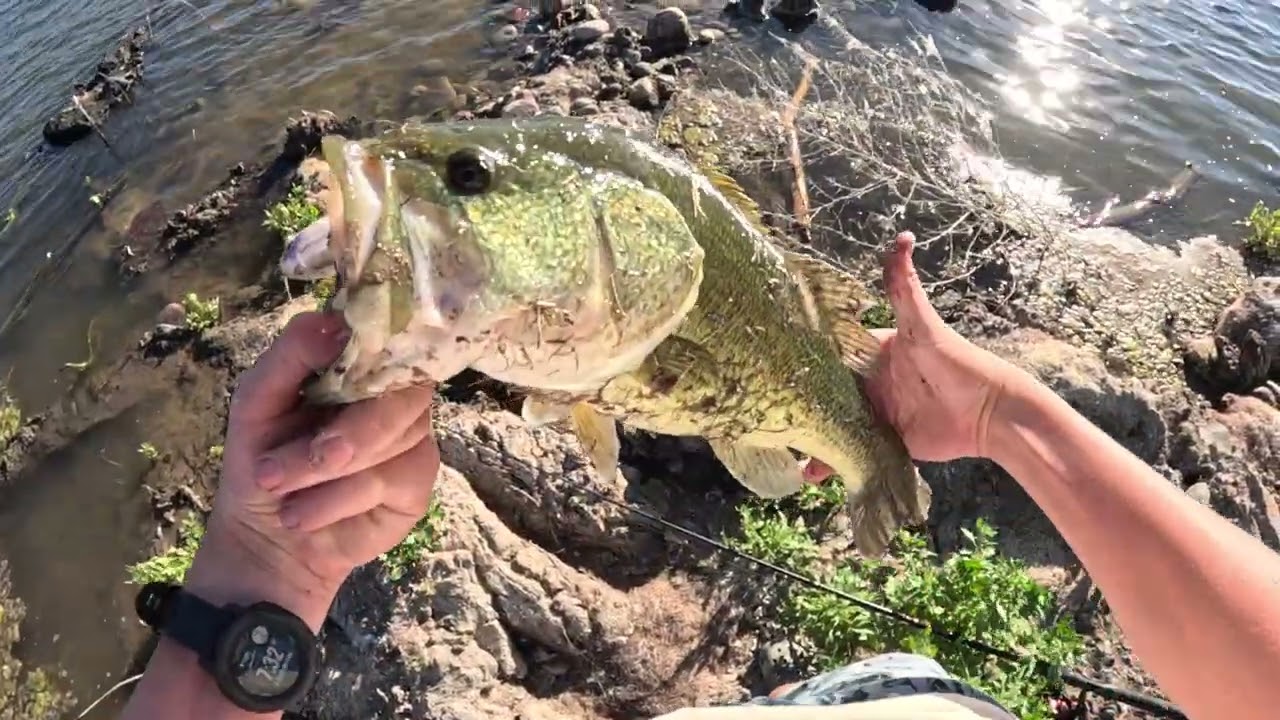 Bass Fishing in Colorado
