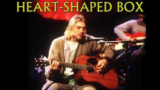 Nirvana - Heart-Shaped Box (MTV Unplugged)