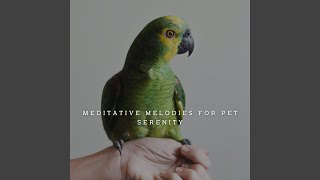 Harmonic Connections with Animals