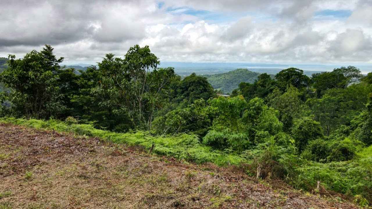 2.49 ACRES – Astonishing Panoramic Ocean View Land Only 15 minutes From The Main Highway!!!!!