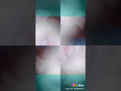 مصحبش الفرافير