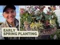 Potting a spring container fertilizing routine for boxwood  hydrangeas  gardening with wyse guide