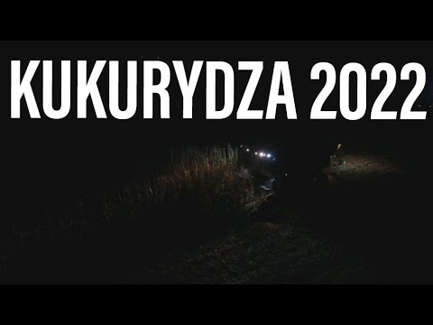 🌽Kukurydza na ziarno🌽Deutz