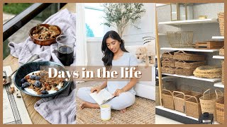 DAYS IN THE LIFE | Ikea haul 2022, Indian rose masala chai, Mini house project. by Shikha Singh 1,918 views 1 year ago 15 minutes