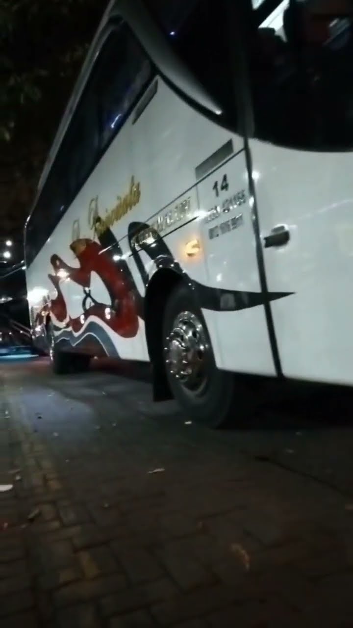 AKAS Pariwisata: Raja Jalan Raya yang Mengantar Mimpi Jelajah Nusantara