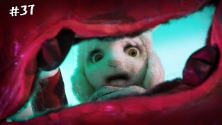 видео: Любителям Животных АНИМАЦИЯ не рекомендуется (жм #37) картинка: Любителям Животных АНИМАЦИЯ не рекомендуется (жм #37)