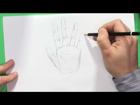 Video: Come Disegnare Una Casa Senza Alzare Le Mani