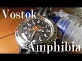 Vostok Amphibia Review: Divergent Evolution (420380 Orange Scuba Dude)