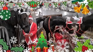 A great Christmas thought from Uniek and we eat the first course. #vlogmas with Friesian Horses #4