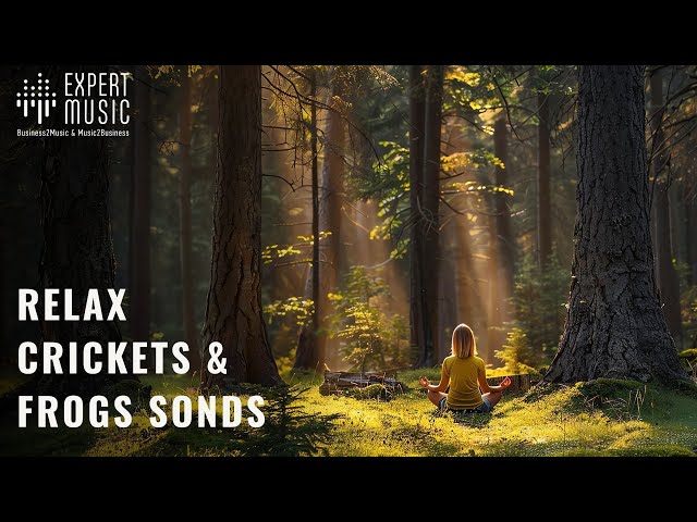 Relax: Relaxing crickets & frogs sounds