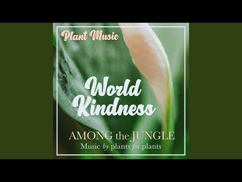 Смотреть «World Kindness (Peace Lily Plant Music)» на YouTube
