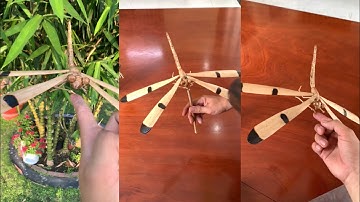 Lam con chuồn chuồn đậu một chân cân bằng make the dragonfly stand on a balance leg | Chú Cuội DIY