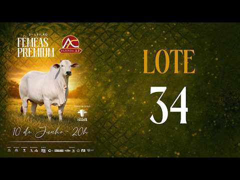 LOTE 34 ARFS 168
