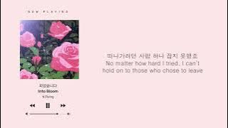 N.Flying (엔플라잉) – 피었습니다. (Into Bloom)