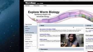Intro to WormBase: FIlter you search by species
