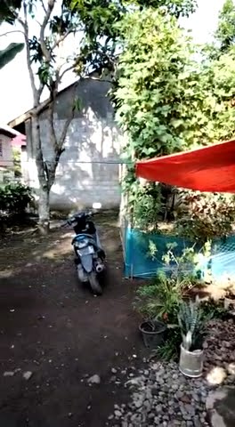 Rumah Etek Butet di Kampung Halaman
