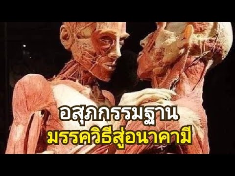 วีดีโอ: วิธีการทำสมาธิแบบอสุภะ: 13 ขั้นตอน (มีรูปภาพ)