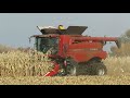 Harvest 2020 | Case IH 5140 Axial Flow Combine Harvesting Corn | Corn Harvest 2020