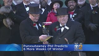 Groundhog Day Predictions