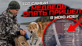 видео: Тот самый медведь ОПЯТЬ пришел в мою избу! #медведьиизба картинка: Тот самый медведь ОПЯТЬ пришел в мою избу! #медведьиизба