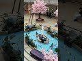Indoor Frühling mit Shopping Erlebnis