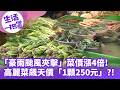 《生活一把罩》「豪雨颱風夾擊」菜價漲4倍! 高麗菜飆天價「1顆250元」？！