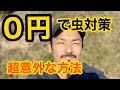 【無料】０円で出来る虫対策！これをするだけで必ず虫は減ります