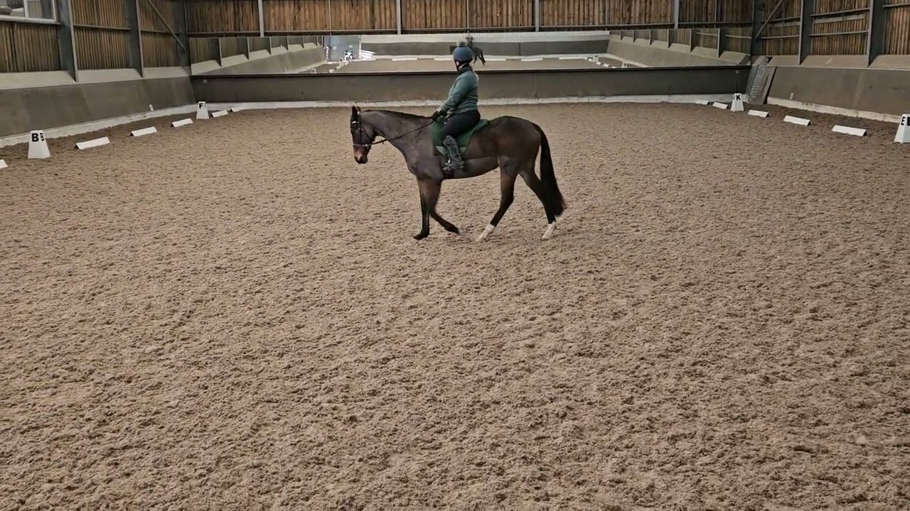 Emillie and Spacebound walk 2 Jan 2026