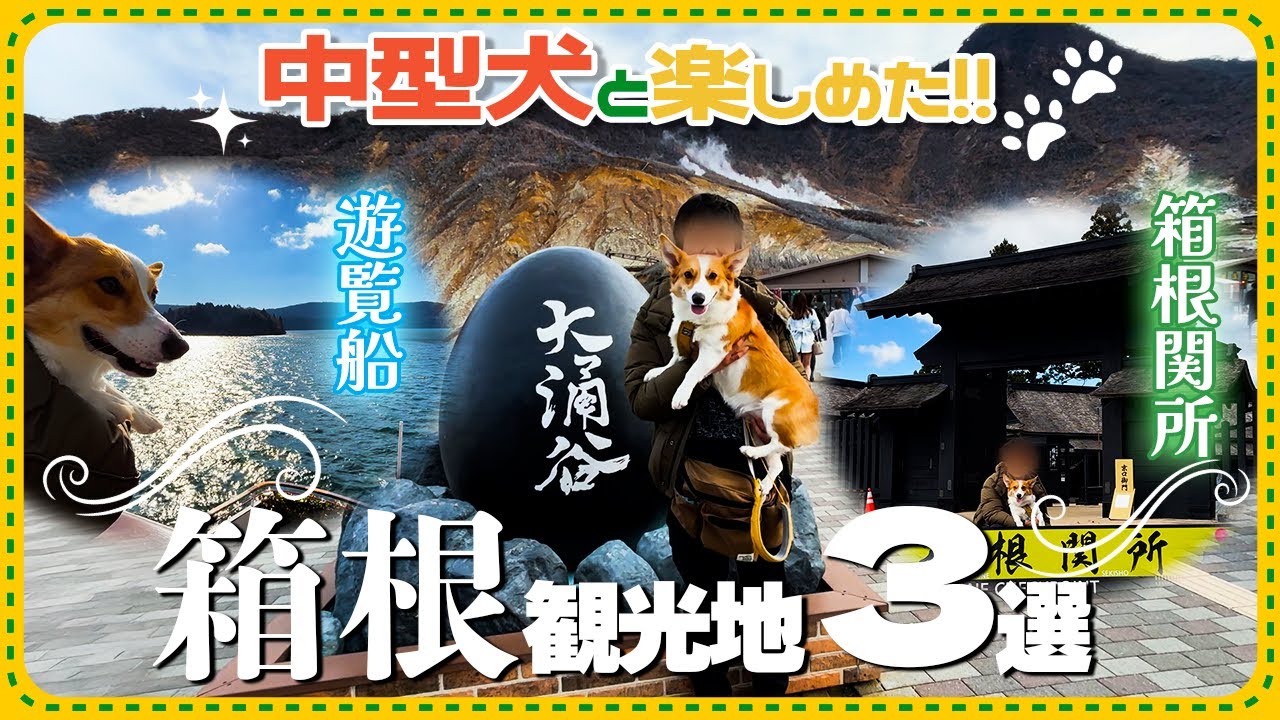 【犬連れ箱根まとめ】中型犬と楽しめた箱根観光スポット３選！【大涌谷・箱根関所・遊覧船】