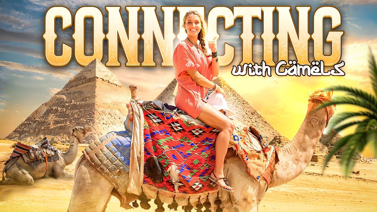Egyptian Retreat: Connecting with Camels Through Animal Communication