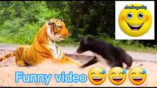 Funny video???