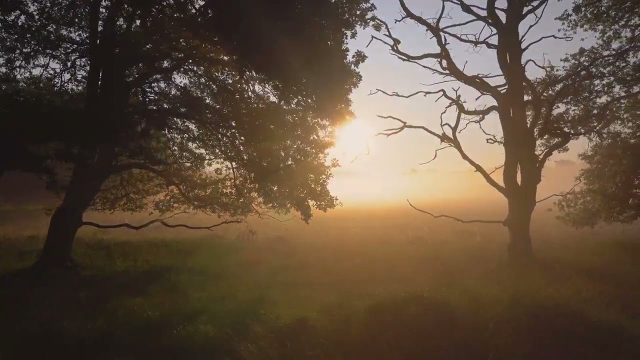 Syntynyt Uudestaan - Newsboys Cover (Official Visualizer)