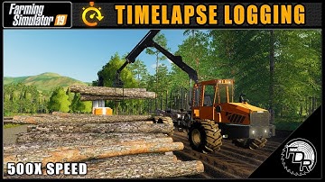 Timelapse Logging #9 | Grizzly Mountain | Farming Simulator 2019