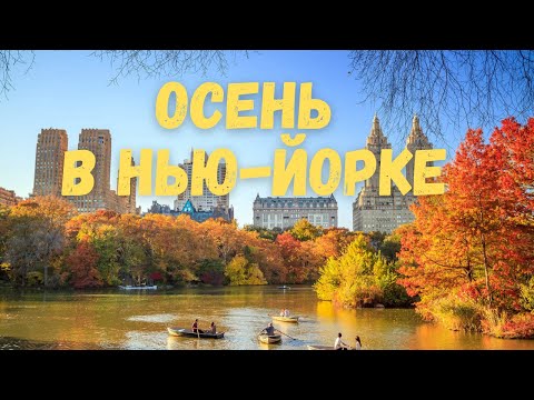 Видео: Как да стана оценител в Ню Йорк?