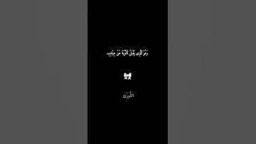 محمد اللحيدان {وهو الذى يقبل التوبة}من سوره الشورى تلاوه مبكيه