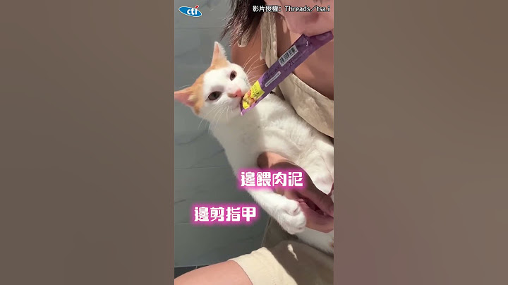 【到底要多忙】正妹幫貓剪指甲"嘴刁肉泥+哼歌"哄騙 超強技術奴才們快學起來😍#shorts