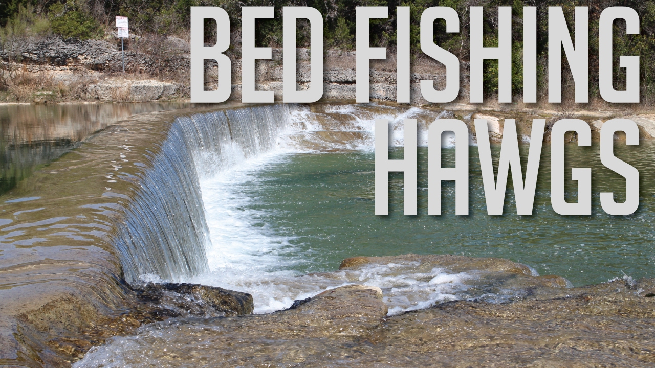 Bed Fishing Hawgs | Largemouth Bass Fishing Georgetown, TX