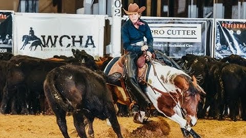 CATS PAINTED ILLUSION rider SANDY KAPLAN CHC Herd score 72