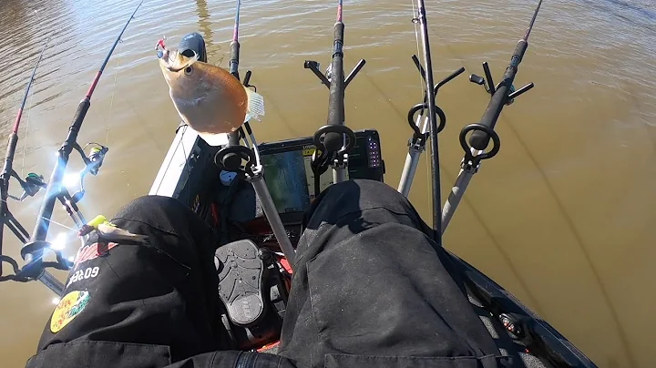 Slow Trolling for Crappie