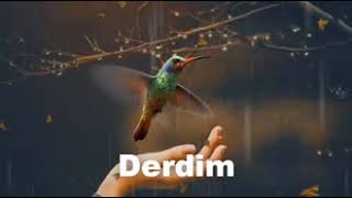 Kar Yagar Kar Üstüne İnstagram Facebook Whatsaap Durumlari Hi̇kayeleri̇