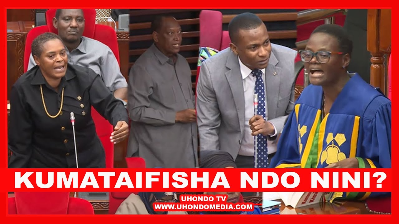 MVURUGANO BUNGENI, LUGHA GONGANA YAZUA BALAA, MBUNGE MSAMBATAVANGU AIBUA 