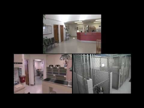 Animal Medical Center of Galesburg