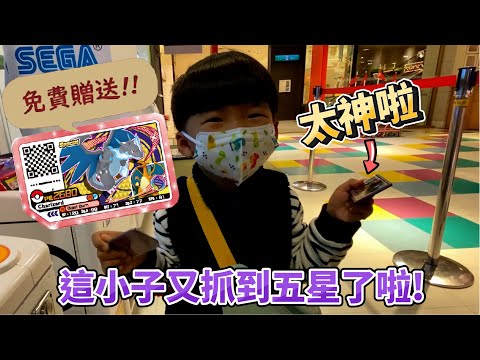 【Pokémon gaole 傳說第四彈】全圖鑑速度在+1安安厲害!